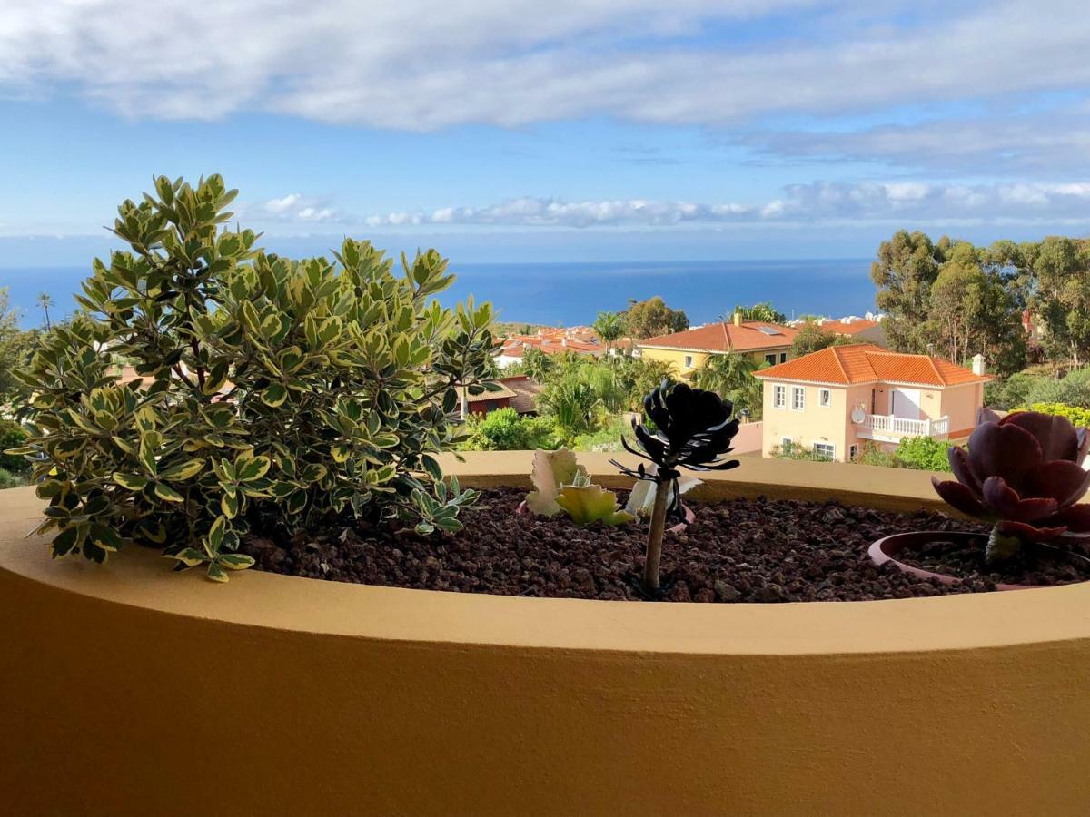 شقة Terraza Vista Oceano La Quinta Santa Úrsula المظهر الخارجي الصورة