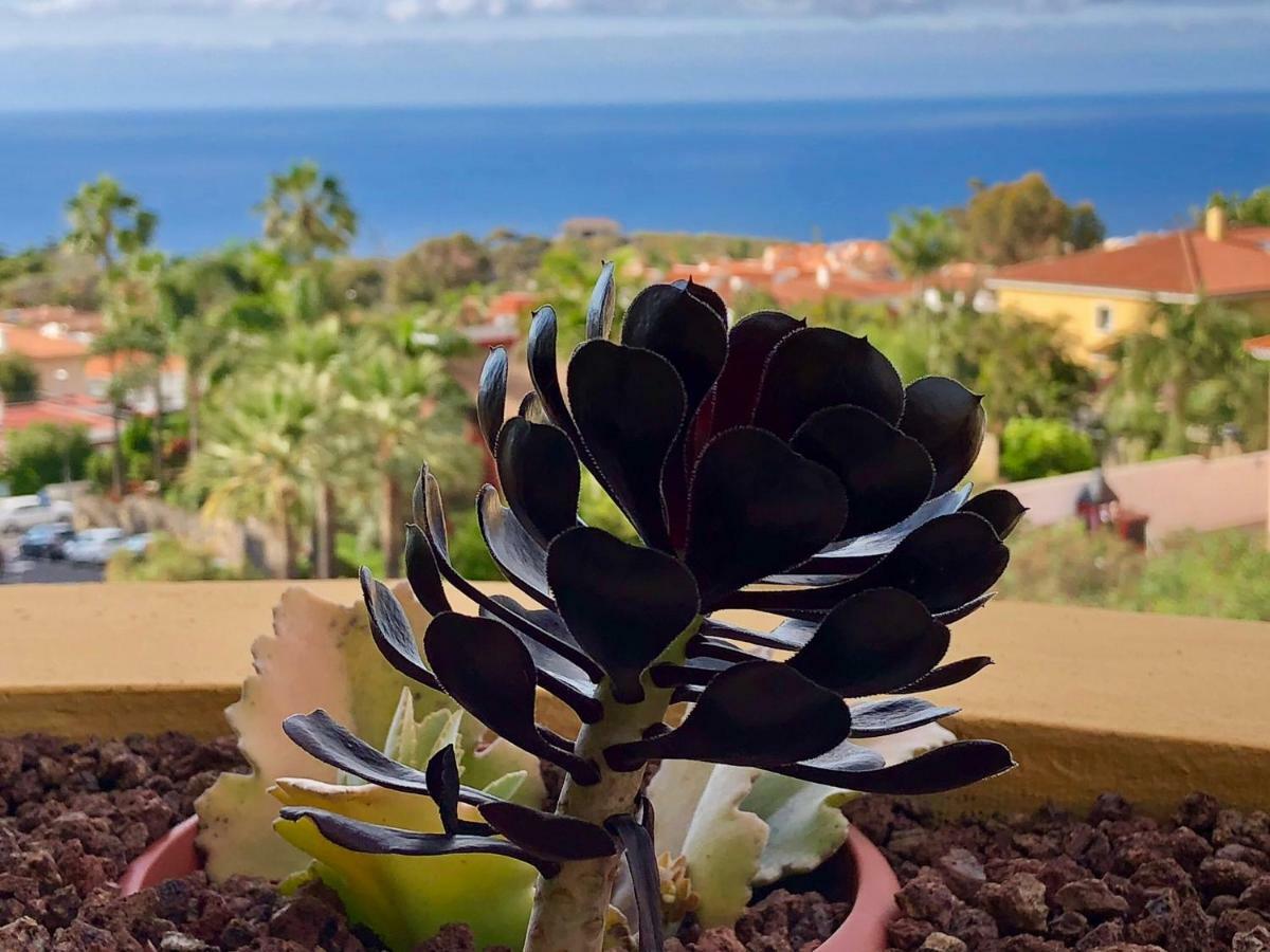 شقة Terraza Vista Oceano La Quinta Santa Úrsula المظهر الخارجي الصورة